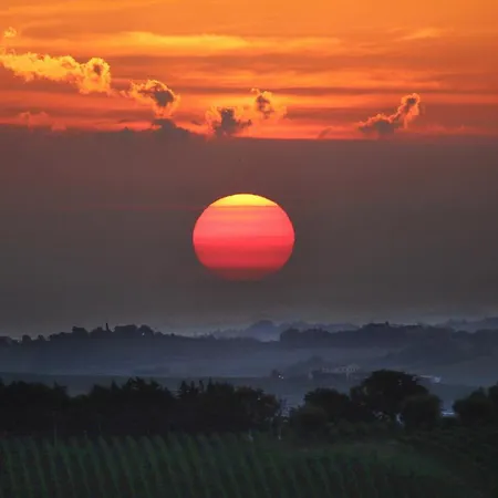 Quindici Alberi La Chioccia