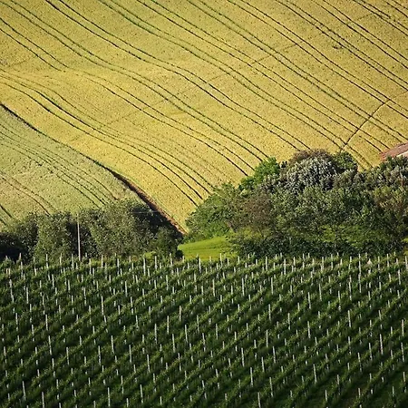 Quindici Alberi La Chioccia *