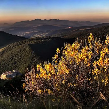 Quindici Alberi La Chioccia *