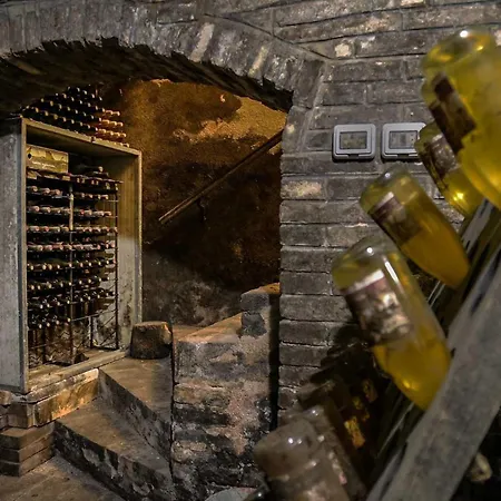 Quindici Alberi La Chioccia בית נופש *