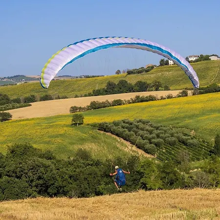 Quindici Alberi La Chioccia Serra deʼ Conti