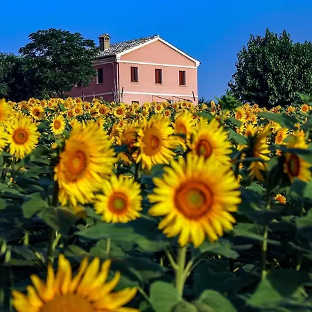 بيت للعطل Quindici Alberi La Chioccia Serra deʼ Conti