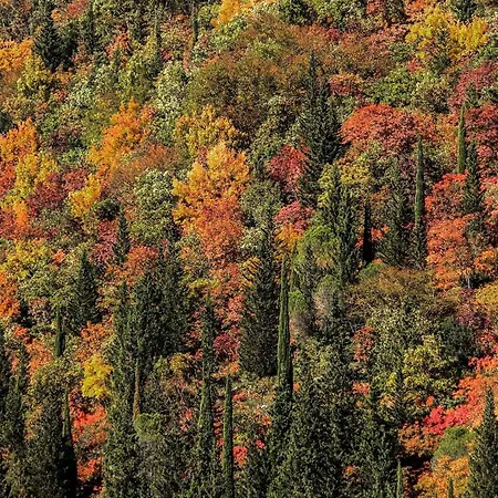 Ferienhaus Quindici Alberi La Chioccia
