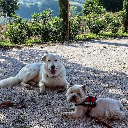 Quindici Alberi La Chioccia *